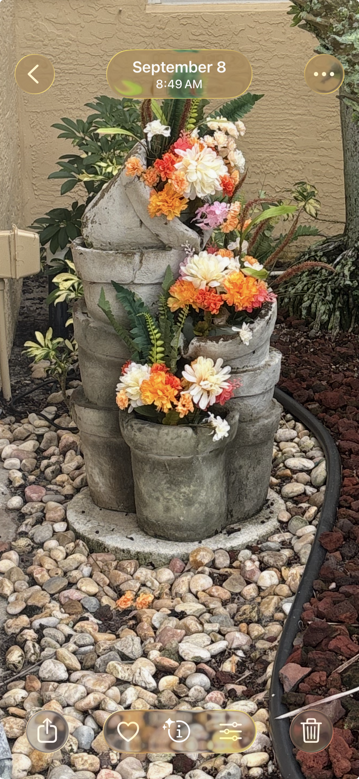Home was being sold and homeowner asked that the statue be filled with flowers.  :-)